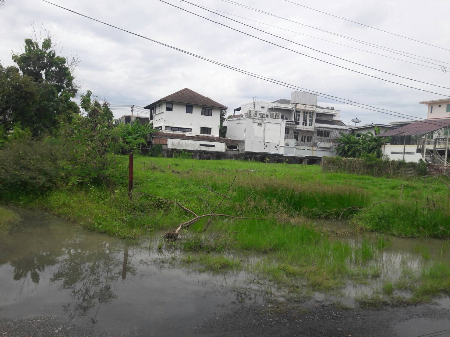 ลงประกาศขายบ้านฟรี ลงประกาศขายที่ดินฟรี ลงประากศขายคอนโดฟรี  ลงประกาศขายโรงงานฟรี ลงประกาศขายโกดังฟรี